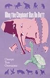 Why the elephant has no butt: Stories Mother Turkey told her children, adapted from the Arficana-Igbo original