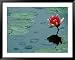 Raindrop Patterns Imitate Lily Pad on Laurel Lake, near Bandon, Oregon, USA Framed Art Poster Print by Tom Haseltine, 49x39