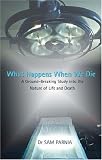What Happens When We Die: A Ground-breaking Study into the Nature of Life and Death