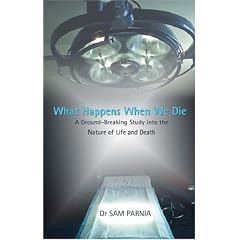 What Happens When We Die: A Ground-breaking Study into the Nature of Life and Death