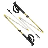 Black Diamond Distance FL Trekking Poles (Pair)