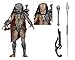 NECA - Predator - 7â€ Scale Action Figure - Ultimate Ahab Predator