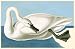 Trumpeter Swan - Movie Poster / Print -- Custom Framing Available
