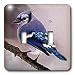 Birds - Blue Jay - Light Switch Covers - double toggle switch