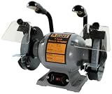 Black Bull BG8DL 8-Inch Heavy Duty Bench Grinder With Light