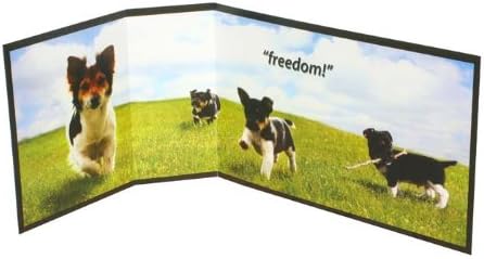 Protective Piddle Guard Freedom Design (3 Pack)