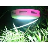 90w watt UFO Plant Lamp LED Grow Light High Power Round Grow Light (Red/blue 8:1) Good for leaf