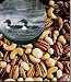 Supreme Mixed Nuts - 14 oz.