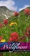 Flowers 2009-2010 2 Year Pocket Planner Calendar (3.6" x 6.5")