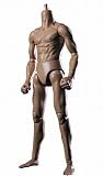 1/6 リアルマスターピース コレクティブル フィギュア / オリジナル・アクション・ボディ BL3.5 単品