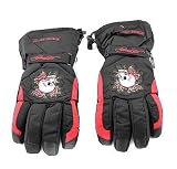 Ed Hardy Mens Black Skull and Rose Thinsulate Gloves Snow Apparel - Leatherbull (Free U.S. Shipping)
