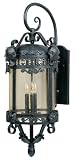 Aztec Collection 33 1/2 High Outdoor Wall Light