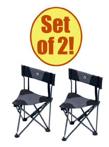 Set of 2 - GCI QUIK-E-SEAT Stool with Padded Back On Sale