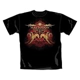 Lions - T-Shirt Black (M)