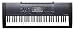 Casio CTK2000 61 Key Personal Keyboard with MP3/iPod Connection