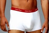 Calvin Klein Prostretch Trunk