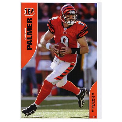 (24x36) Cincinnati Bengals (Carson Palmer) Sports Poster Print