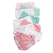 Hanes Girls Brief Assortment 9 Pack (size 6)