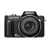 Sony Cybershot DSC-H10 8.1MP Digital Camera with 10x Optical Zoom with Super Steady Shot
