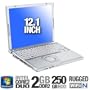 C2  SU9600 1.60GHZ 12.1T  250G 2G