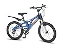 Raleigh Megamax 20" Boys Bike