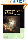 Magnetohydrodynamic Turbulence