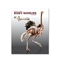 Body Worlds of Animals