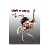 BODY WORLDS: The Anatomy of Animals - Catalog