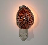 Authentic Real Sea Shell Nightlight, Brown Spotted Tiger Shell Style Nightlight UL Listed / Rated for Safety Night Light, Great Gift Idea