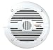 Boss Audio MR50W Marine 2-Way 5.25-Inch Speaker (Single, White)