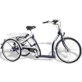 24/26" e-Rad Shoppingdreirad "Merano II" Mod.11