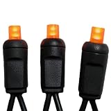 Orange LED Halloween Lights