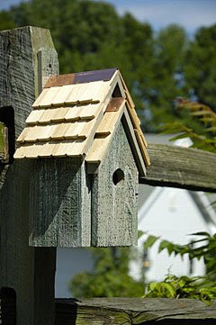 Bluebird Manor Birdhouse