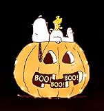 Peanuts Snoopy & Woodstock on Pumpkin Lighted Halloween Window Decoration