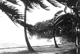 Hurricane Waves Strike the Seawall 12x18 Giclee on canvas - Photos - 19726-9