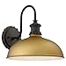 Minka Lavery Outdoor Wall Light 71251-663 Escudilla Exterior Wall Lantern, 1-Light 100 Watts, Painted Honey Gold