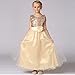Z.D Girls Wedding Dress Ball Gown Bridesmaid Tull Sequined Sleeveless Dress