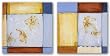 Flower I-II Set by Veronica Rosas 12"x12" Art Print Poster Latin