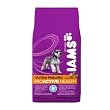 Iams Active Maturity Dog Food 8lb