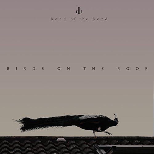 Birds on the Roof