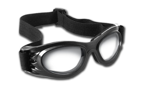 3M 90725-00000 RoadBurners Goggles with Black Frame and Clear Lens