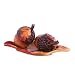 Fitz and Floyd Harvest Salt and Pepper with Tray