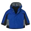 CI IB 4 IN 1 Tech Jacket - Blue-Blue