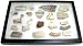 600 to 1000 Year Old Anasazi Pottery Shards in Riker Display Case