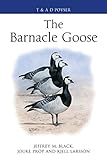The barnacle goose