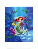 Ariel, Dreams Under the Sea Art Poster Print, 11x14
