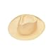 Straw Panama Hats Halloween Hats