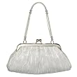 La Regale Evening Bag Brocade Pouch - Silver
