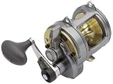Shimano Tyrnos TYR20II 2-SP Conv.Levr Drag Fishing Reel