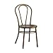 Acme Furniture 96813 Cerys Antique Copper Side Chair (Set of 2)